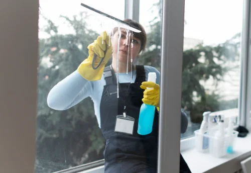 Nettoyage de vitres intérieures et extérieures à Bun